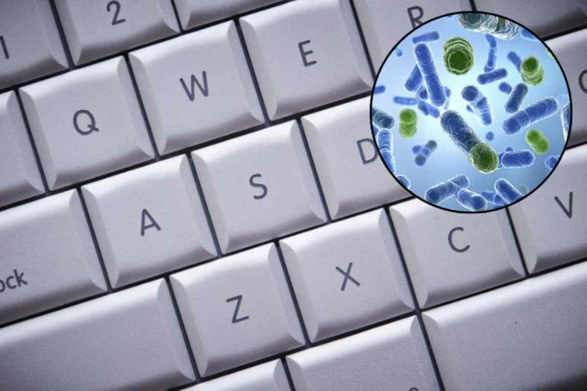 La tastiera del PC si configura come uno degli elementi più esposti a contaminazioni, accumulando polvere, sporco e batteri